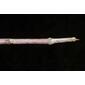 Cornus amomum  ssp. obliqua (Cornaceae) - twig - winter overall
